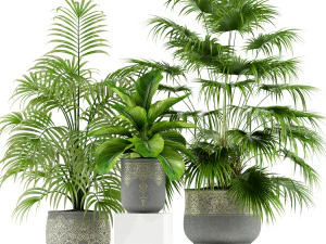 Colecci&oacute;n de plantas 147 Modelo 3D