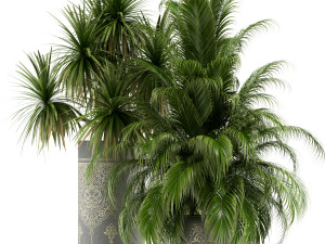 Plants collection 147 Modelo 3D