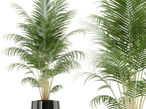 Koleksi tanaman 148 Model 3D