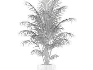 Plants collection 148 3D Model
