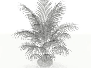 Plants collection 148 3D Model