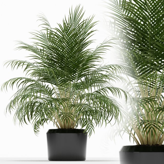 Plants collection 149 3D Модель .c4d .max .obj .3ds .fbx .stl .blend 