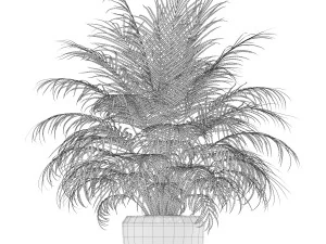 Plants collection 149 3D Model