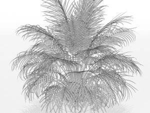 Plants collection 149 3D Model