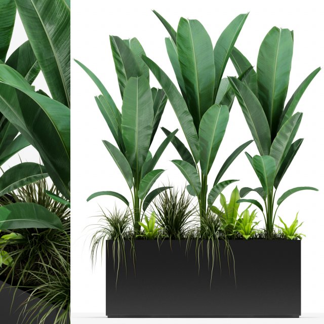 Plants collection 150 Modelo 3D .c4d .max .obj .3ds .fbx .stl .blend 