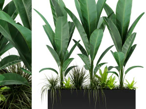 Colecci&oacute;n de plantas 150 Modelo 3D