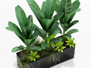 Plants collection 150 Modelo 3D