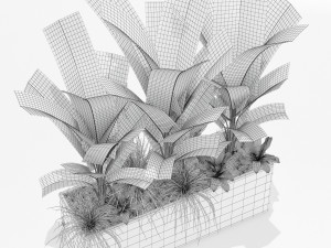 Plants collection 150 Modelo 3D
