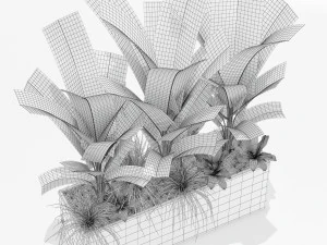 Plants collection 150 3D Model