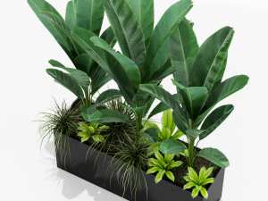 Plants collection 150 3D Model