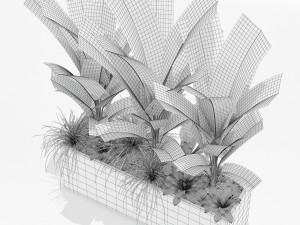 Plants collection 150 Modelo 3D