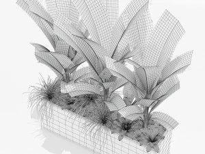 Plants collection 150 3D Model