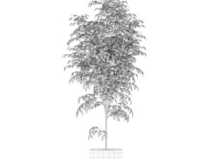 Plants collection 151 Model 3D