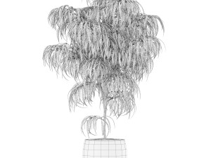 Plants collection 153 3D Model