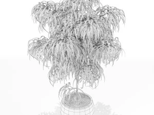 Plants collection 153 3D Model