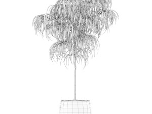 Plants collection 155 3D 모델