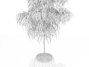 Plants collection 155 3D 모델