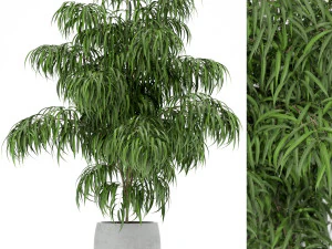 植物コレクション 156 3Dモデル