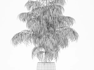 Plants collection 156 3D Model