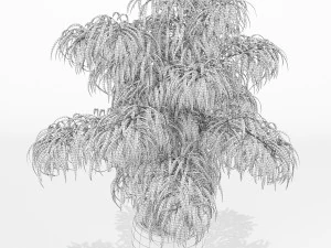 Plants collection 156 3D Model