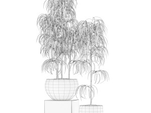 Plants collection 157 3D Model