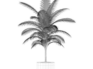 Plants collection 158 3D 模型