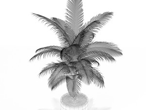 Plants collection 158 3D 模型