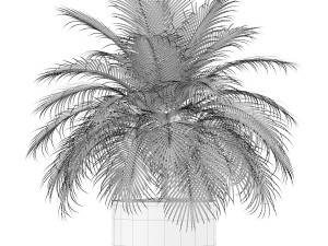 Plants collection 159 3D Модель