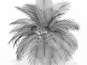 Plants collection 159 3D Модель