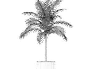 Plants collection 160 3D-Modell