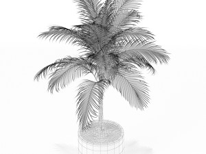 Plants collection 160 3D-Modell
