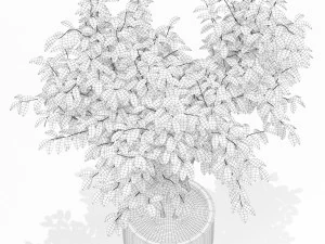 Plants collection 161 3D Model