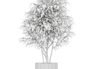 Plants collection 162 3D Model