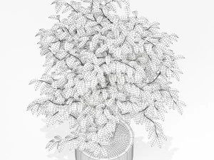 Plants collection 162 3D Model