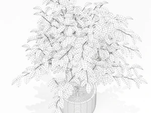 Plants collection 163 3D Model