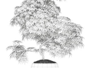Plants collection 164 3Dモデル