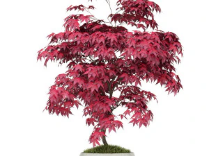 Cole&ccedil;&atilde;o de plantas 165 Modelo 3D