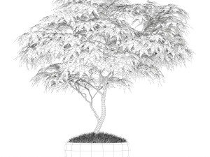 Plants collection 166 Modelo 3D