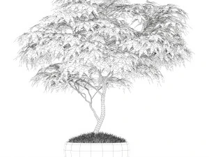 식물채집 166 3D 모델