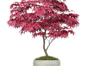 Plants collection 166 Modelo 3D
