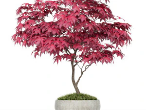 식물채집 166 3D 모델