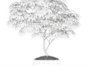 Plants collection 166 Modelo 3D