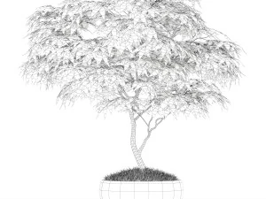 식물채집 166 3D 모델