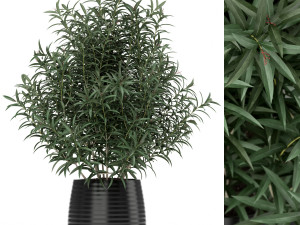 Plants collection 167 Model 3D