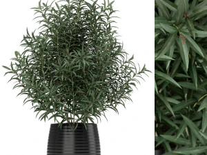 Colecci&oacute;n de plantas 167 Modelo 3D