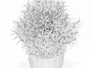 Plants collection 168 3D Model