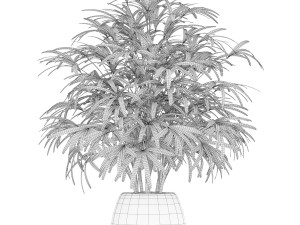 Plants collection 170 3D Model