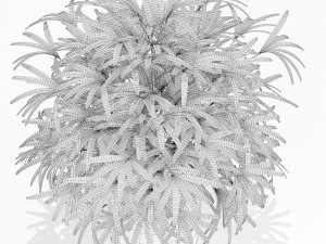 Plants collection 170 3D Model