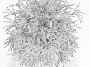 Plants collection 170 3D Model