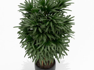Plants collection 171 3D Model